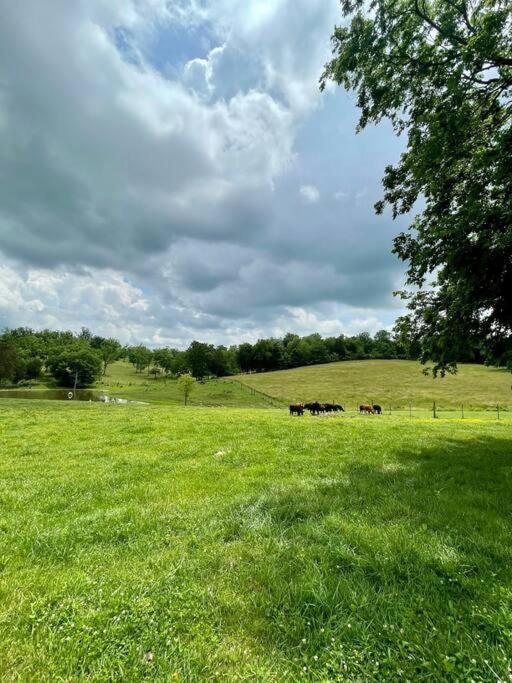 Bourbon Trail Cabin On The Farm 劳伦斯堡 外观 照片