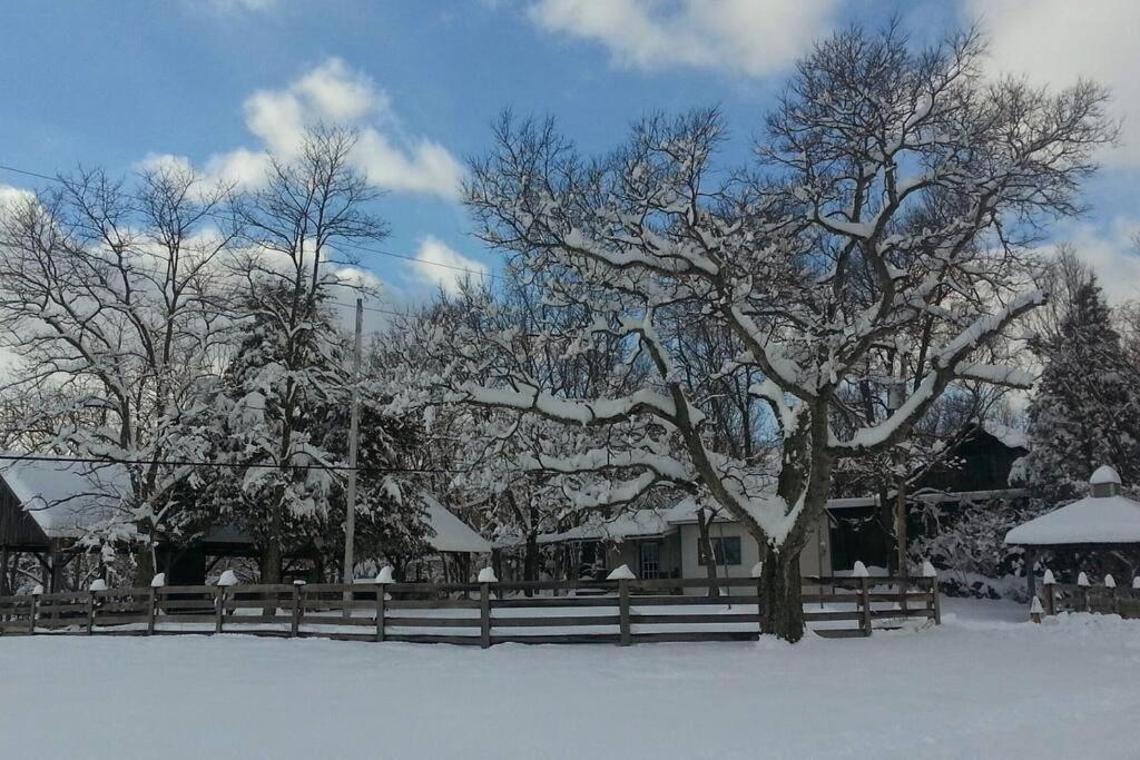 Bourbon Trail Cabin On The Farm 劳伦斯堡 外观 照片