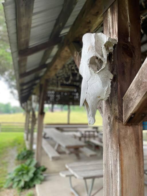Bourbon Trail Cabin On The Farm 劳伦斯堡 外观 照片