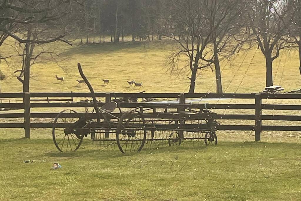 Bourbon Trail Cabin On The Farm 劳伦斯堡 外观 照片